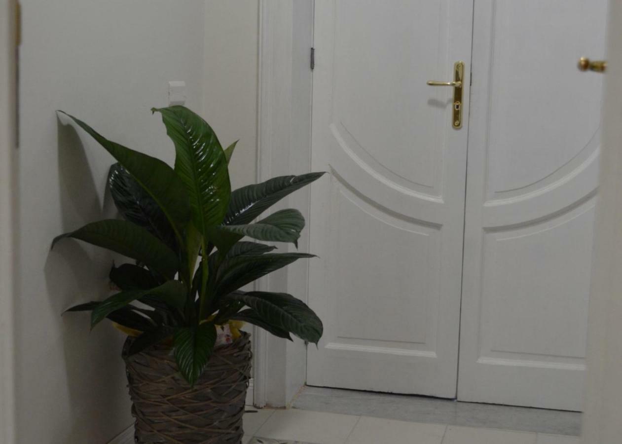 B&B Domus Palmi Bagian luar foto
